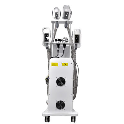 تجميد الدهون آلة التخسيس كريوليبوليسيس 800W OEM