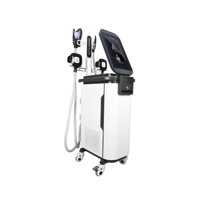 2 في 1 آلة نحت الجسم Ems Cryo  4 مقابض آلة استيمولادور العضلية
