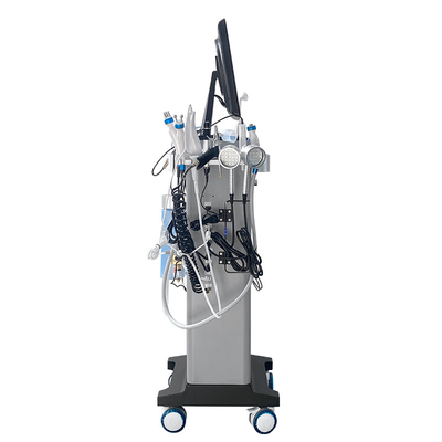 15 في 1 Hydra Dermabrasion Aqua Face Vacuum إزالة الرأس الأسود Hydro Microdermabrasion Machine
